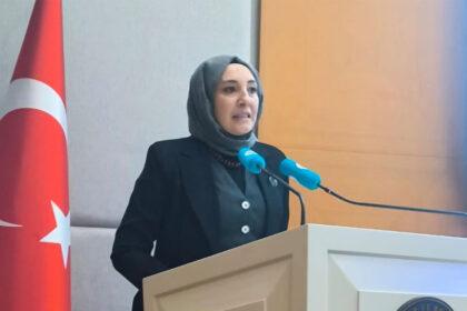 Neova Sigorta Genel Müdürü ve Türkiye Sigorta Birliği Yönetim Kurulu Üyesi Neslihan Neciboğlu